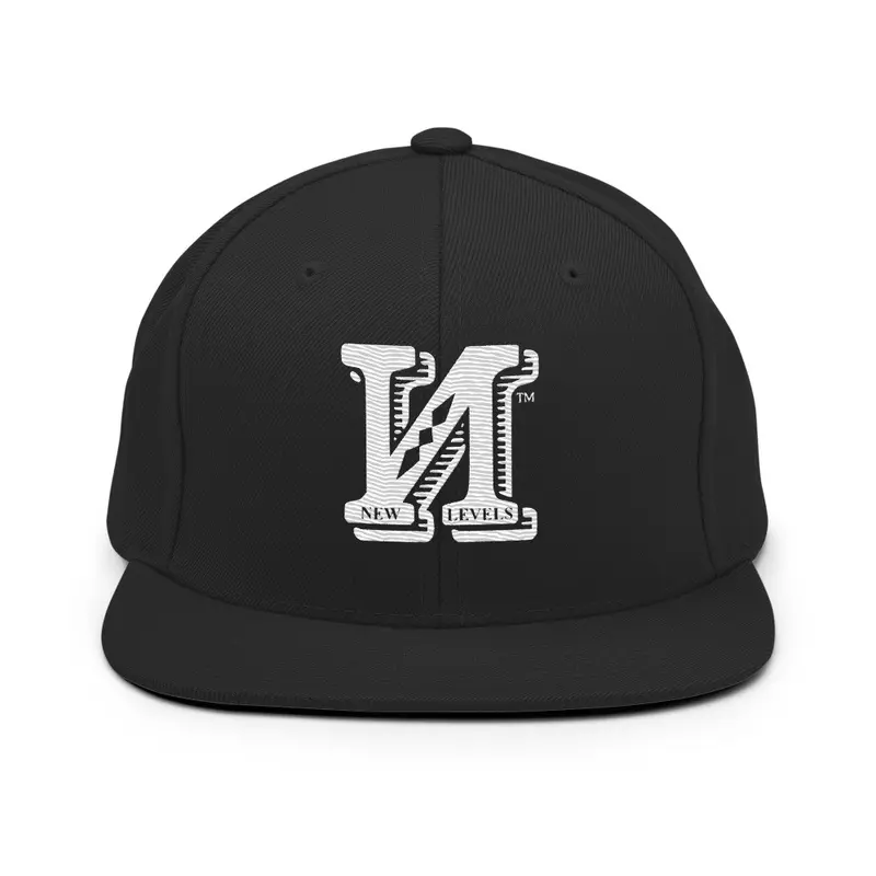 New Levels Snapback